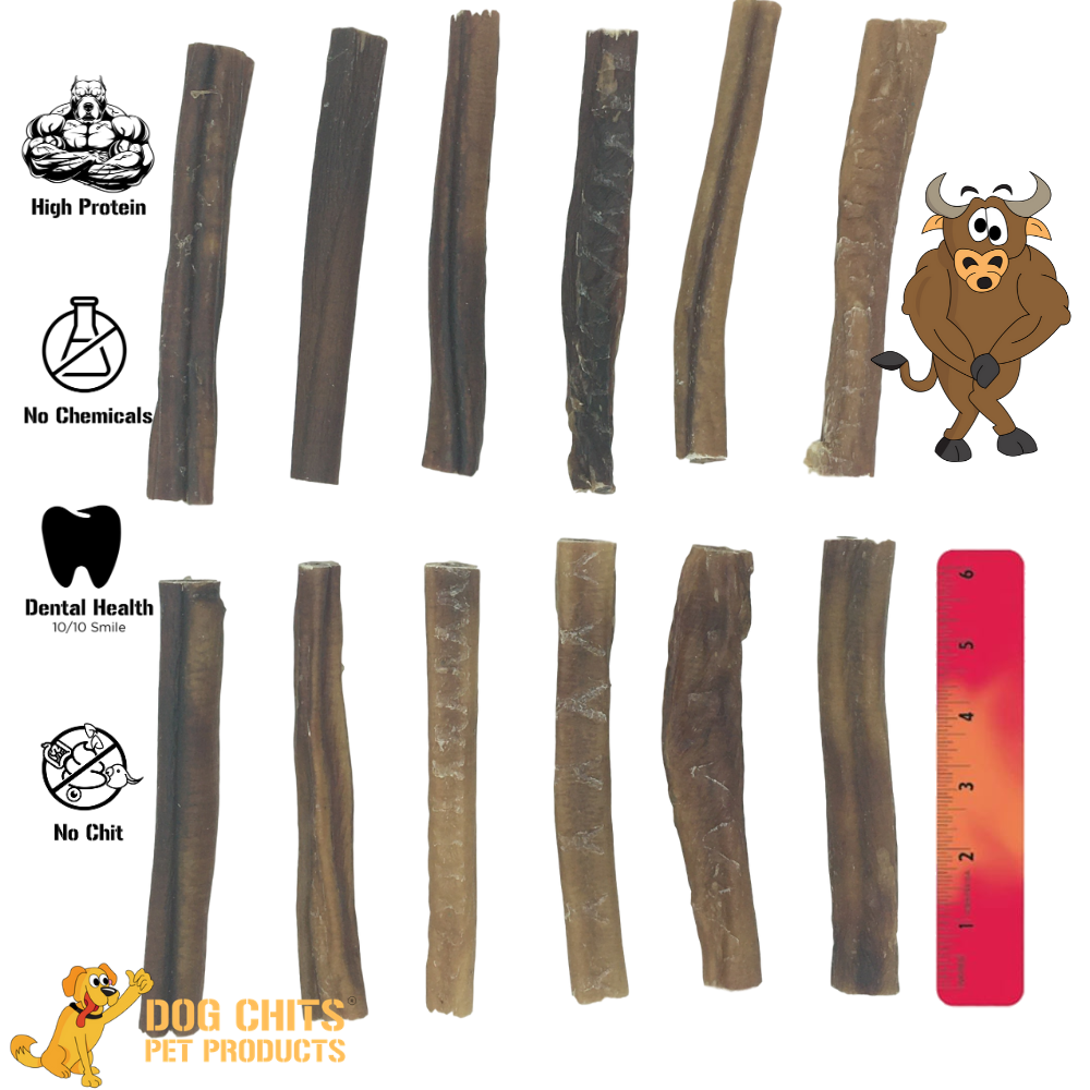 Bully Sticks, 6" 1 Unit (WHOLESALE ONLY)